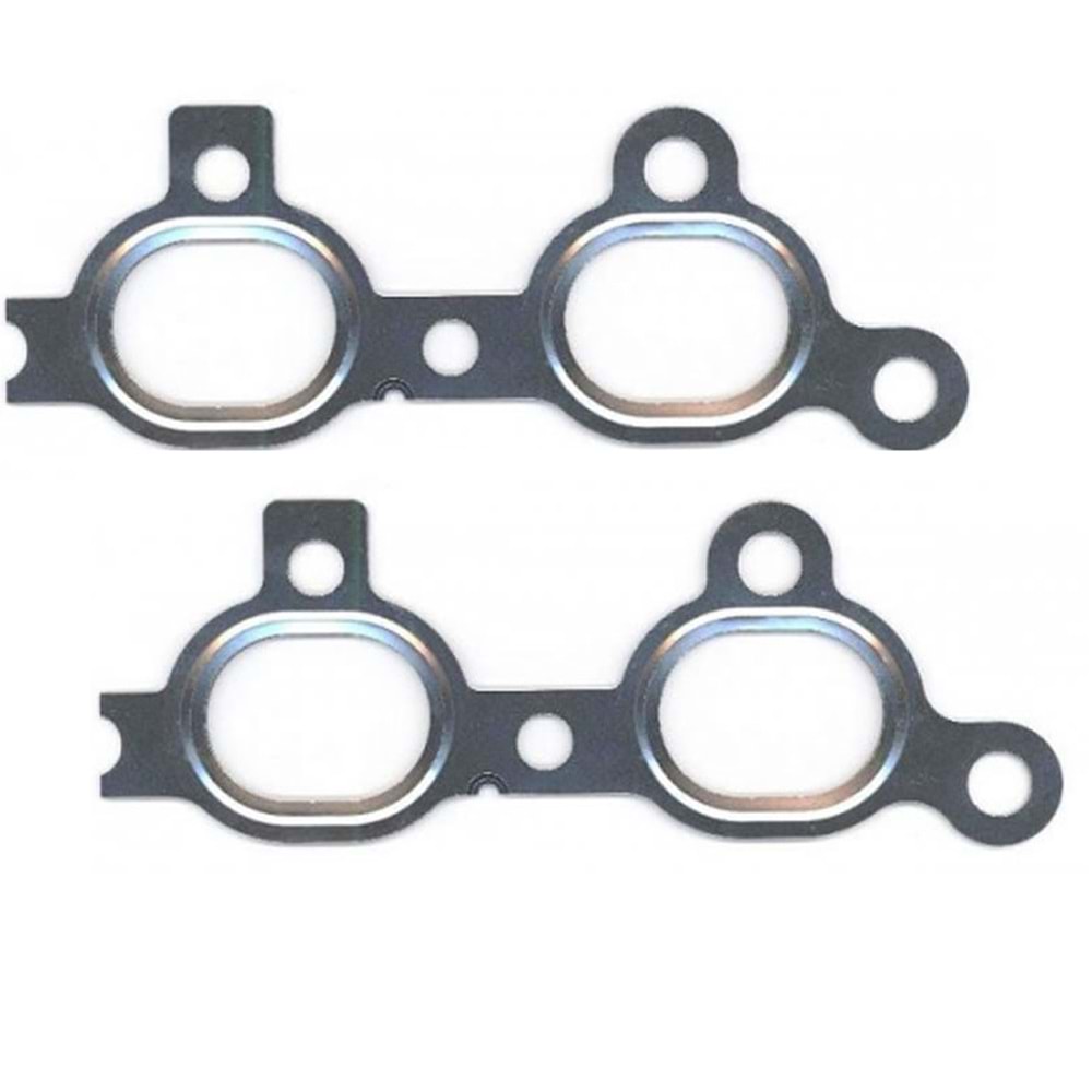 EKSOZ MANİFOLT CONTASI Z17DTH (2 PARÇA) -ROYAL-