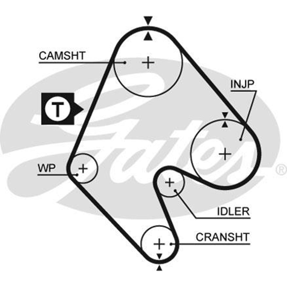 TRİGER KAYIŞI (147X24) 1.6 DİZEL KADET E -GATES-