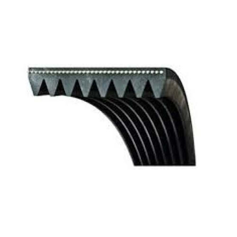 V KAYIŞI 6PK 1580 -DAYCO-