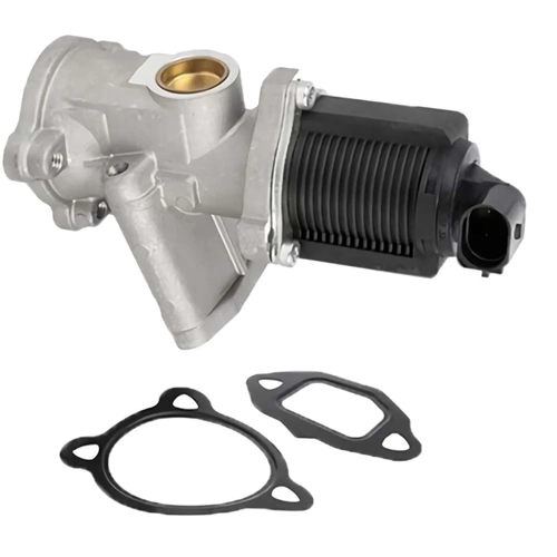 EGR VALFI