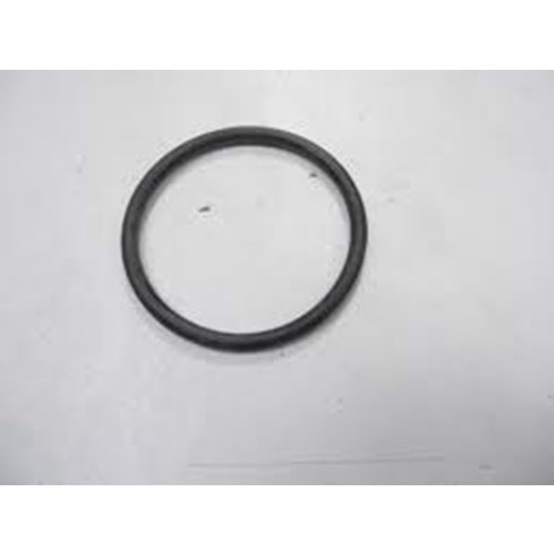 TERMOSTAT CONTASI (ORİNG) ASTRA G ZAFİRA A -YILPAR-