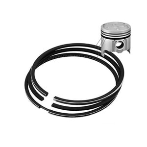 SEGMAN OPEL CORSA B-C X12XE-Z12XE 96- -FEDERAL-